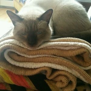 Meet your Posher, Elena